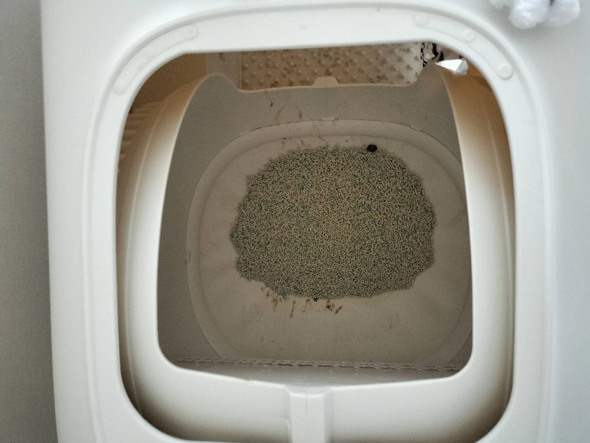 使用中の自動猫トイレを正面の開口部から見た内部。中央のトレイに固まる猫砂が乗っており、その周囲のドラム内壁に茶色い汚れと砂の付着跡が残っている